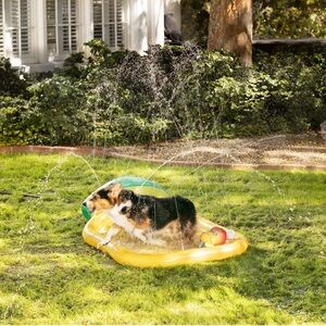 NWT 59”x39.9” Top Paw Pineapple Summer Splash Sprinkler, Shallow Water Pad- Dogs